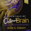Essentials of Osborn's Brain: A Fundamental Guide for Residents and Fellows