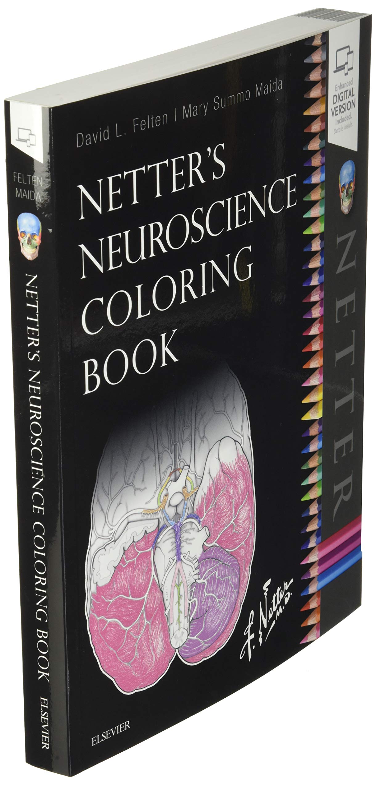 Netter's Neuroscience Coloring Book (Netter Basic Science)