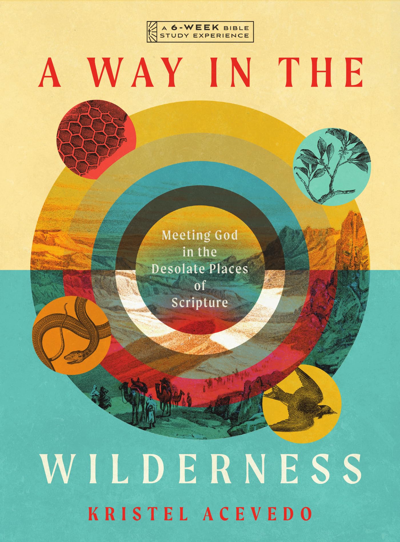 A Way in the Wilderness: Meeting God in the Desolate Places of Scripture--A 6-Week Bible Study with Video Access (IVP Bible Study Experience)