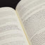 The First Testament: A New Translation
