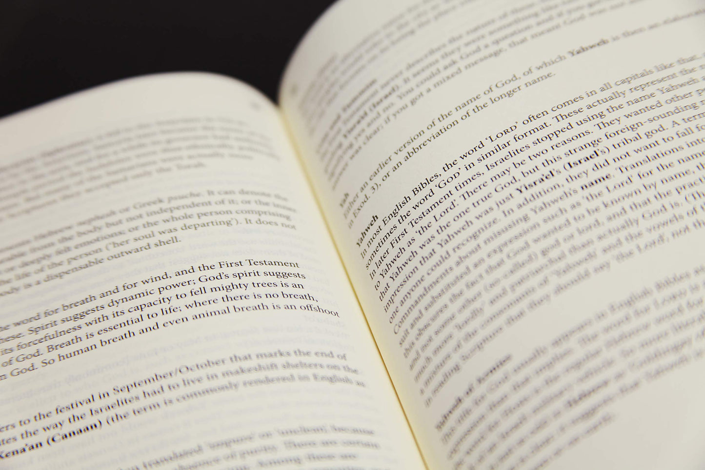 The First Testament: A New Translation