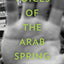 Voices of the Arab Spring: Personal Stories from the Arab Revolutions