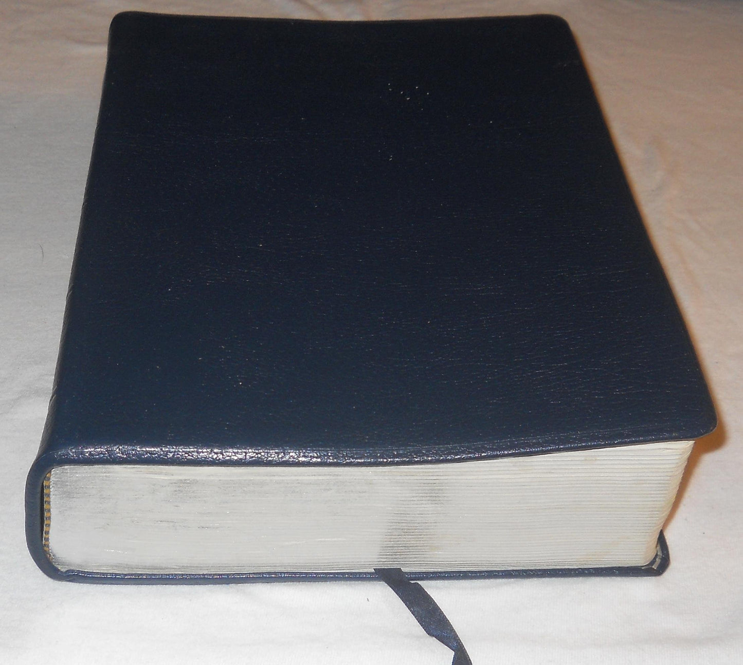 Life Application Bible by Anonymous