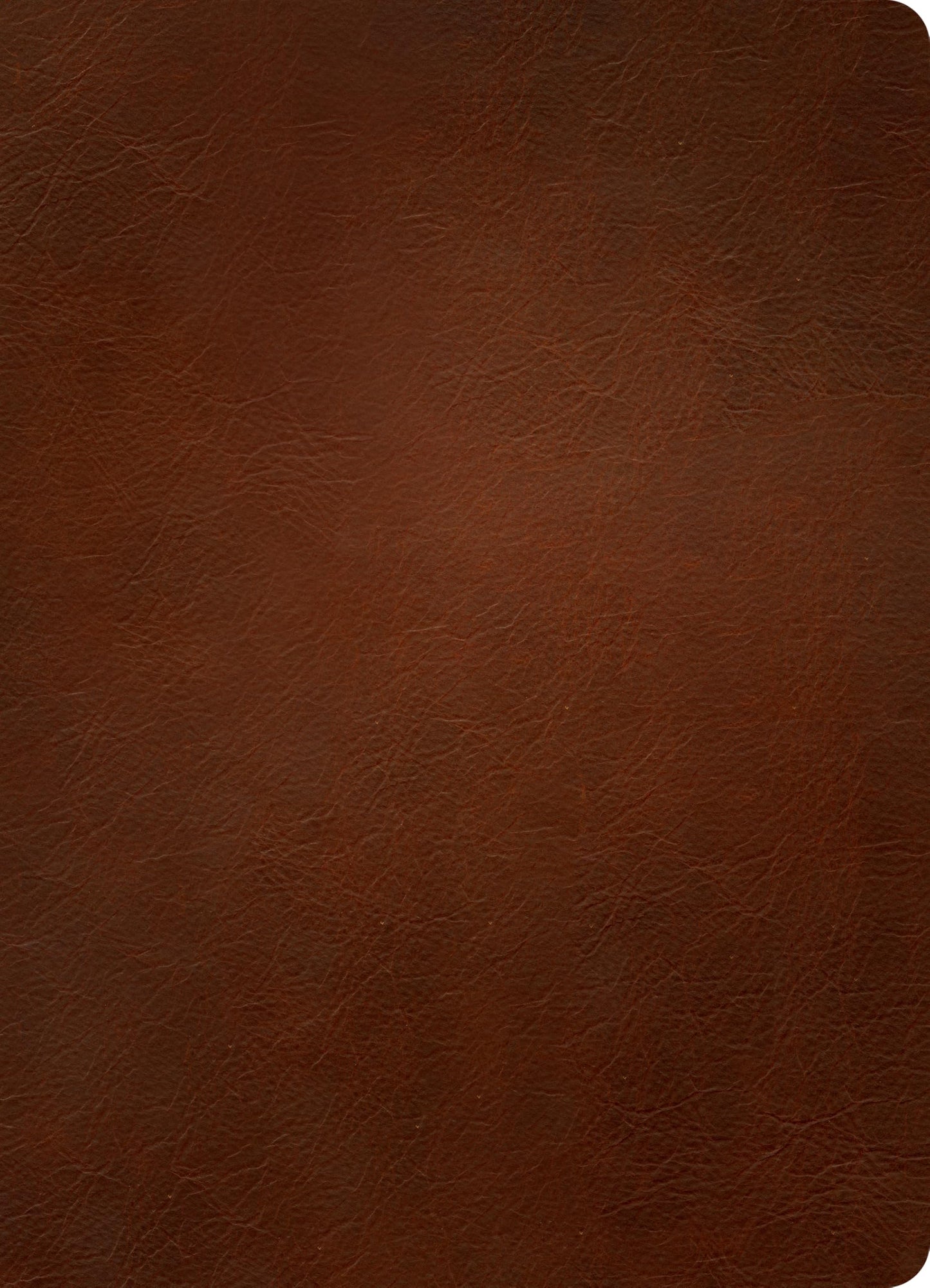 NLT Personal Size Giant Print Bible, Filament Enabled (Genuine Leather, Brown, Indexed, Red Letter): Includes Free Access to the Filament Bible App ... Notes, Devotionals, Worship Music, and Video