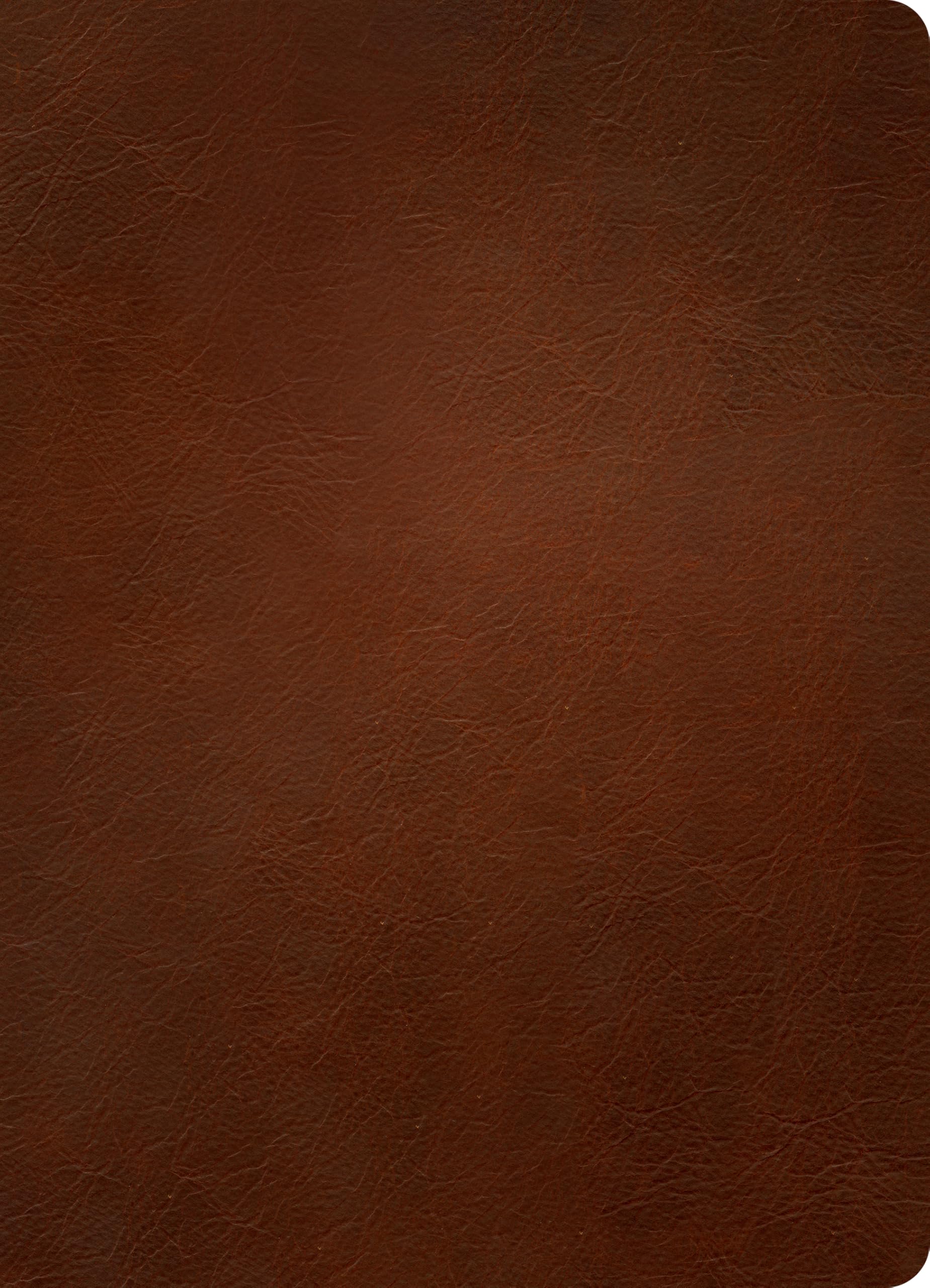 NLT Personal Size Giant Print Bible, Filament Enabled (Genuine Leather, Brown, Indexed, Red Letter): Includes Free Access to the Filament Bible App ... Notes, Devotionals, Worship Music, and Video