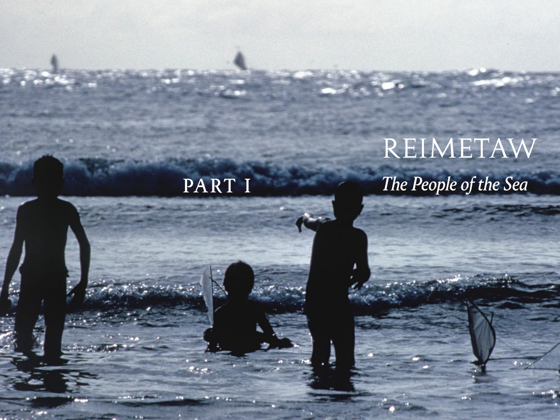The Last Navigator: Revised Edition