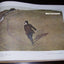 The Art of Andrew Wyeth by Wanda M. Corn