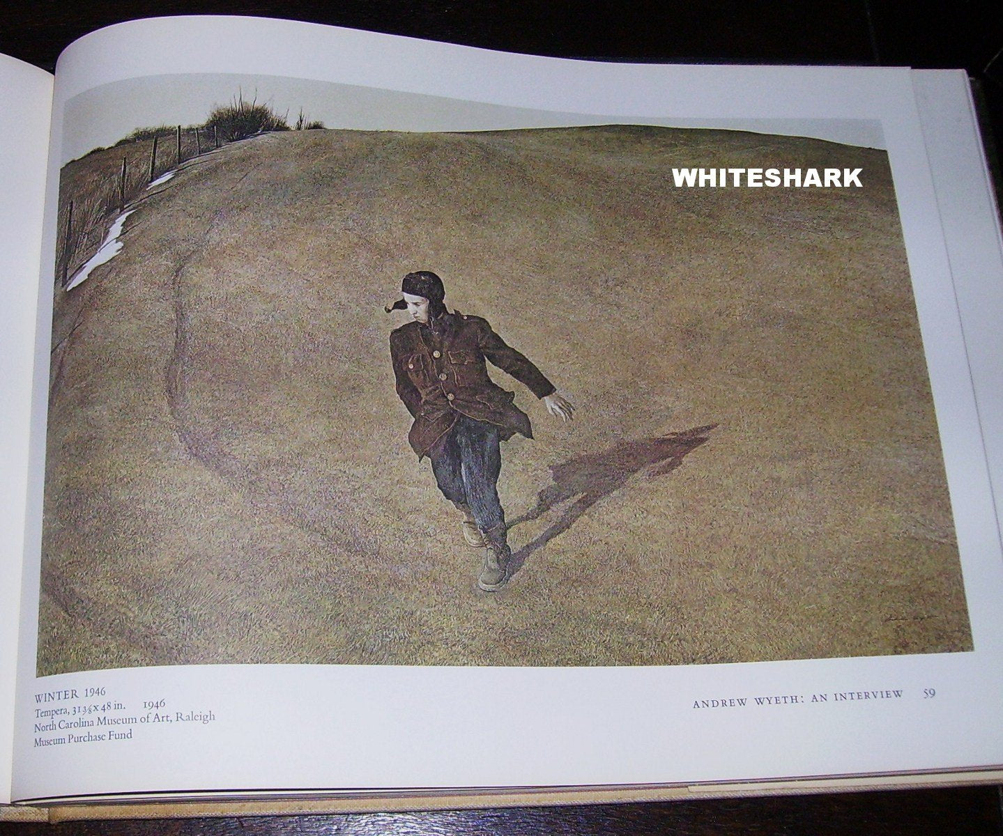 The Art of Andrew Wyeth by Wanda M. Corn