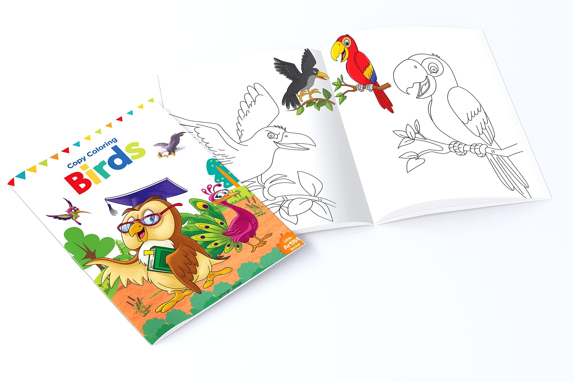 Little Artist Copy Colouring Boxset : Pack of 8 Books (Birds, Sea Animals, Fruits, Vegetables, Dinosaurs, Cars and People Around Us)