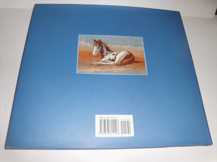 Mustang Canyon — back cover