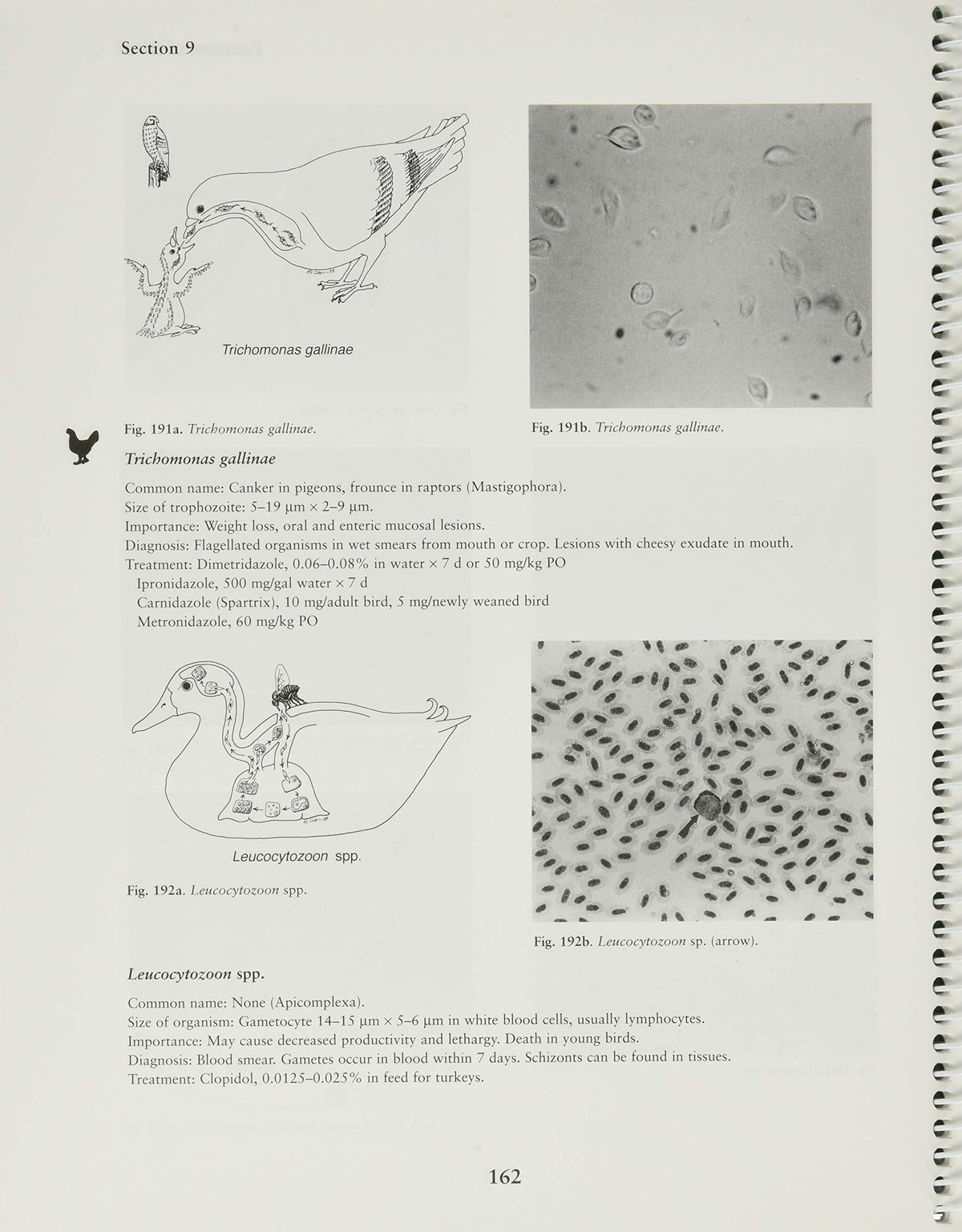 Veterinary Parasitology Reference Manual