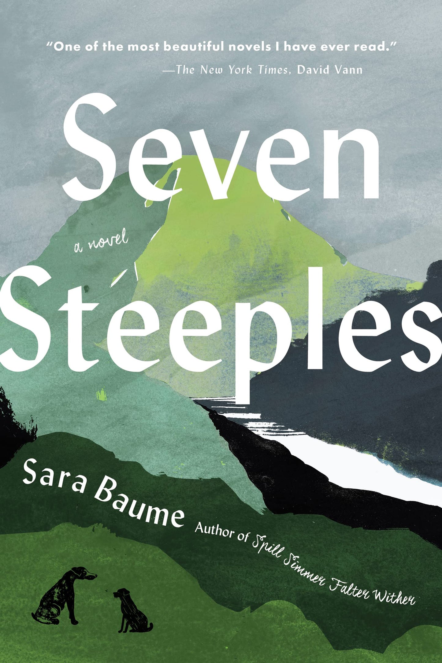 Seven Steeples: A Wall Street Journal Best Book - Irish Literary Fiction of Love and Nature