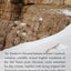 The Wanderer's Havamal