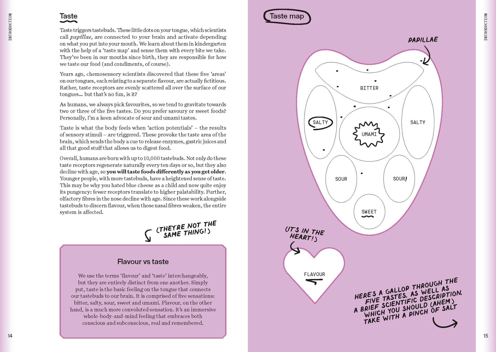 Bloomsbury Publishing The Condiment Book A Brilliantly Flavourful Guide to Foods Unsung Heroes.