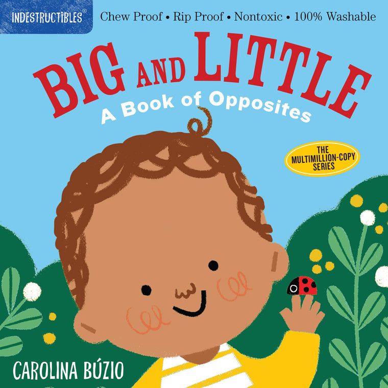 Indestructibles (The Original): Big and Little: A Book of Opposites: Chew Proof  Rip Proof  Nontoxic  100% Washable (Book for Babies, Newborn Books, Safe to Chew)