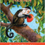 Children's Spirit Animal Cards: 24 Cards and 92 Page Author's Guidebook