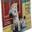 Murphy's Three Homes: A Story for Children in Foster Care