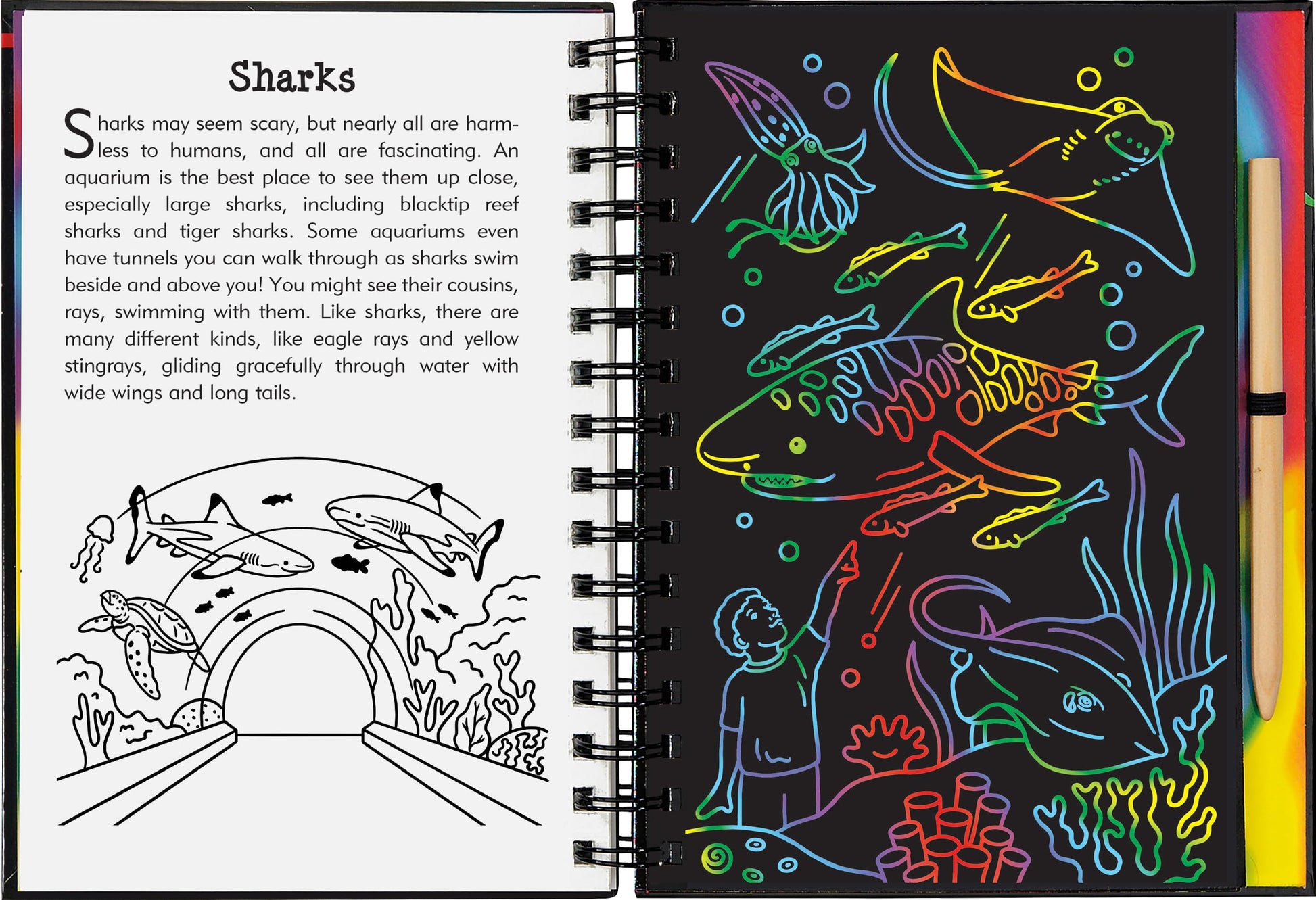 Scratch & Sketch At the Aquarium (Trace Along)