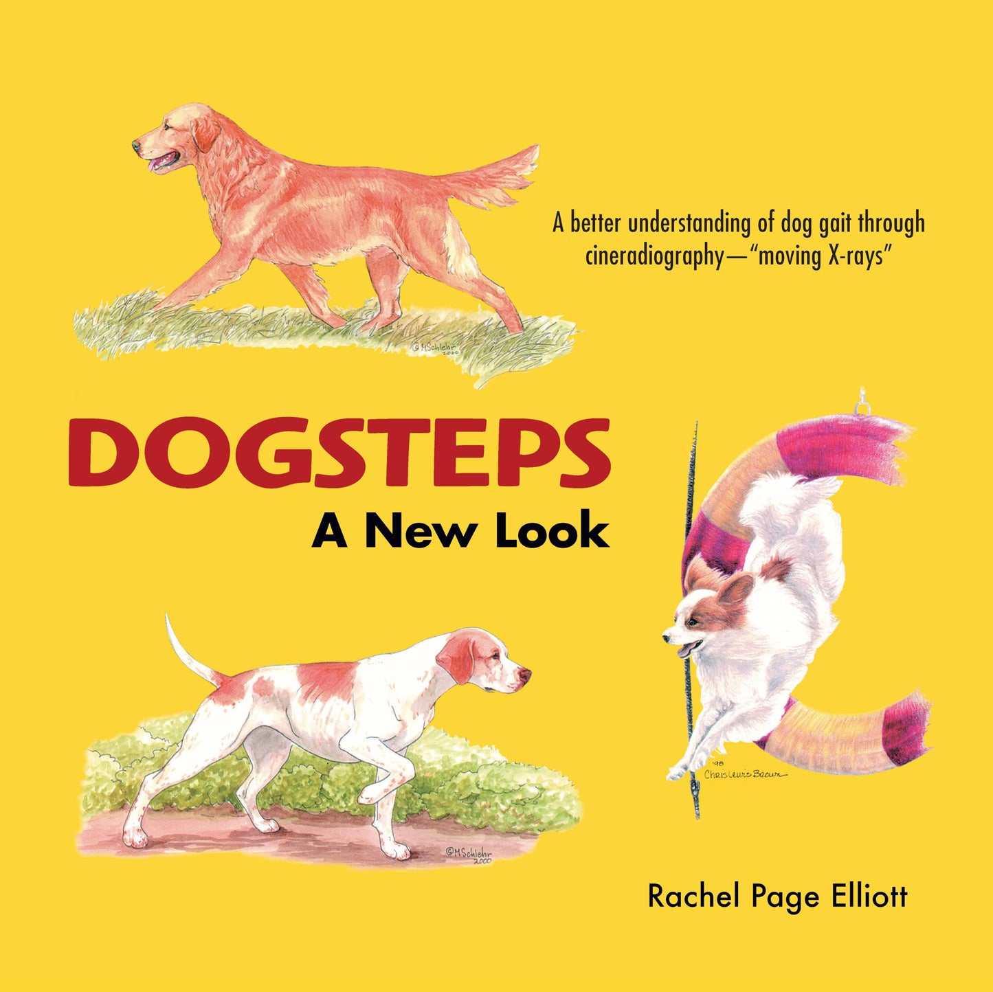 Dogsteps: A New Look, 3rd Edition (CompanionHouse Books) Definitive Manual to Canine Movement, Dog Anatomy, and Natural Gaits of Purebred Dogs; for Breeders, Judges, and Anyone Wanting to Show Dogs