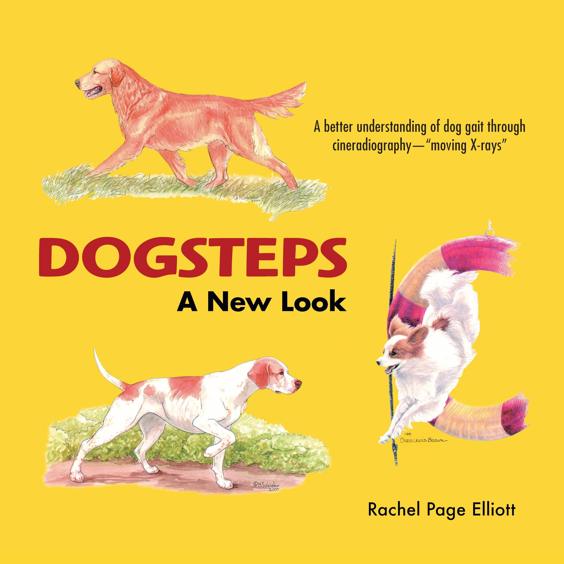Dogsteps: A New Look, 3rd Edition (CompanionHouse Books) Definitive Manual to Canine Movement, Dog Anatomy, and Natural Gaits of Purebred Dogs; for Breeders, Judges, and Anyone Wanting to Show Dogs