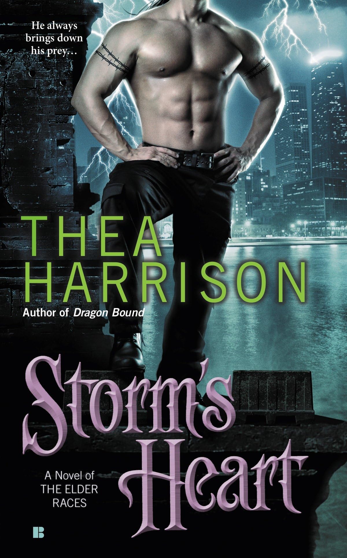 Storm's Heart (A Novel of the Elder Races)