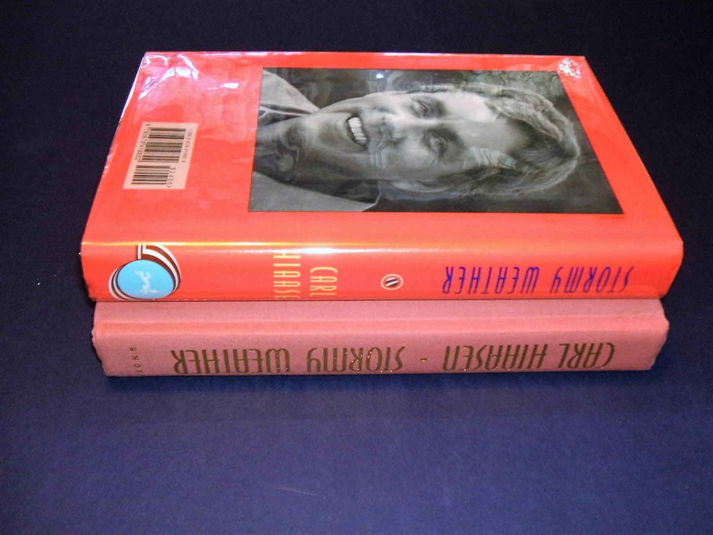 Stormy Weather by Hiaasen, Carl