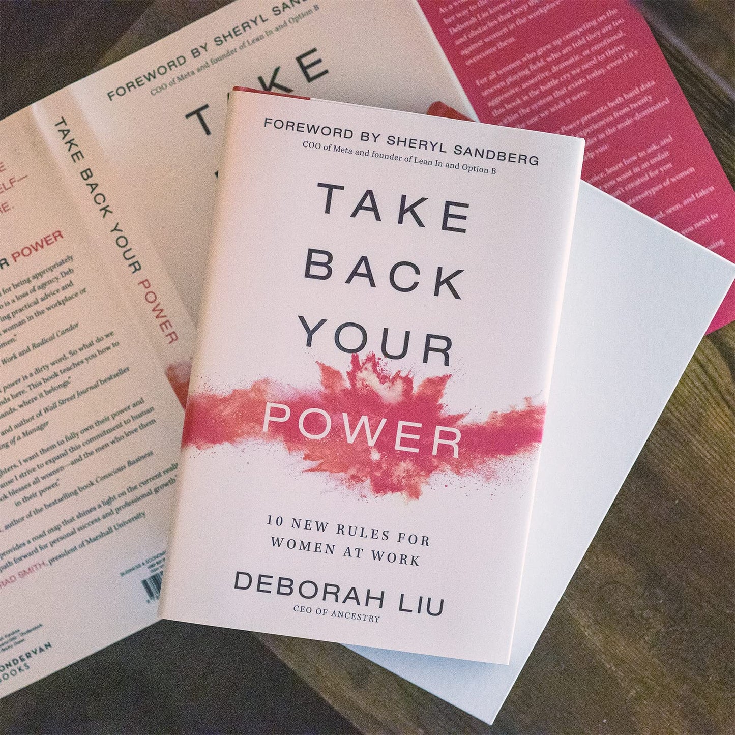 Take Back Your Power: 10 New Rules for Women at Work by Liu,