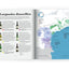 Wine Folly: Magnum Edition: The Master Guide
