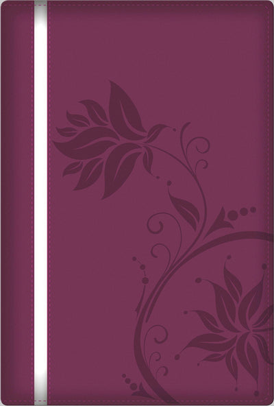 A Woman After God's Own Heart Bible