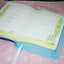 ICB, Really Woolly Holy Bible, Leathersoft, Pink: Children's Edition - Pink