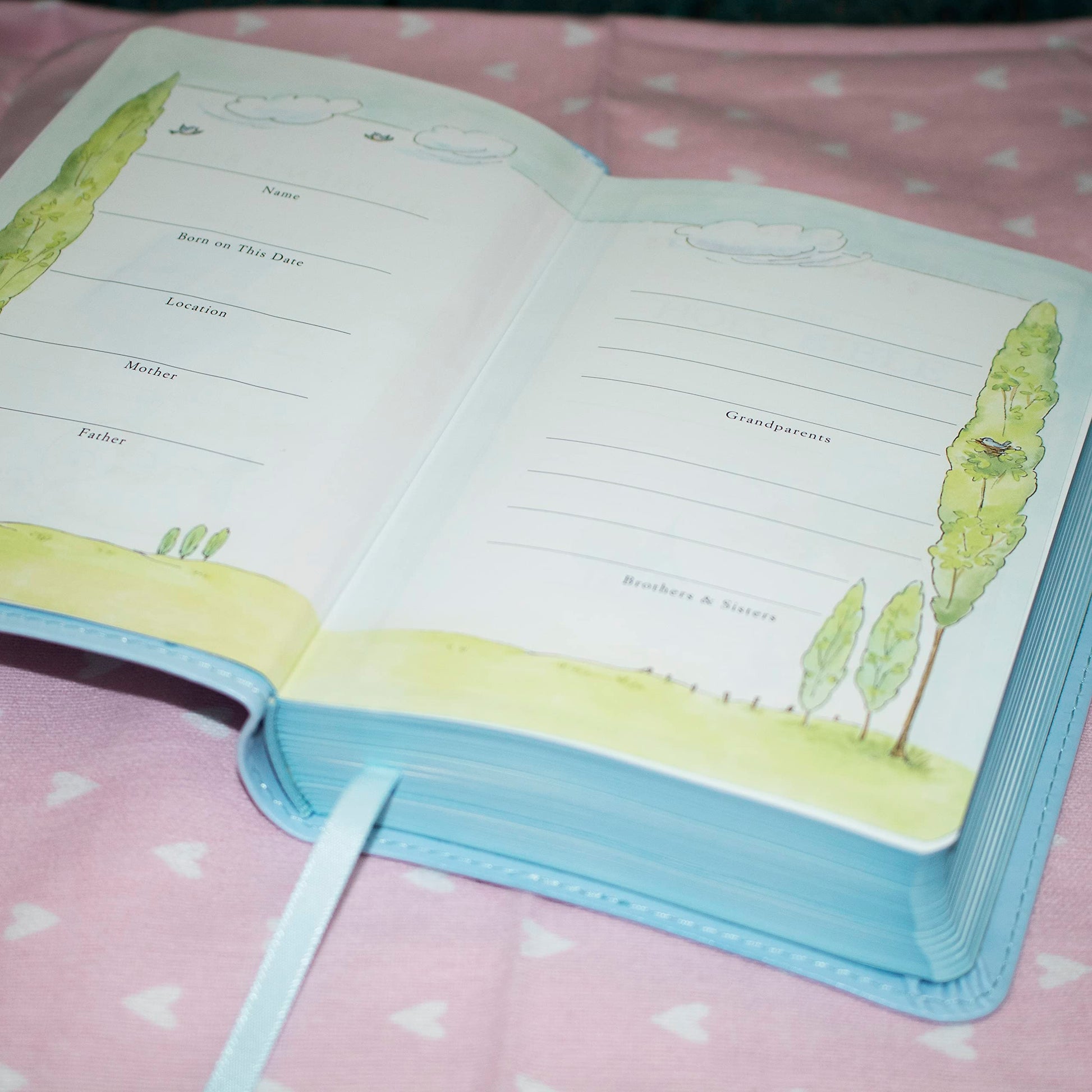 ICB, Really Woolly Holy Bible, Leathersoft, Pink: Children's Edition - Pink