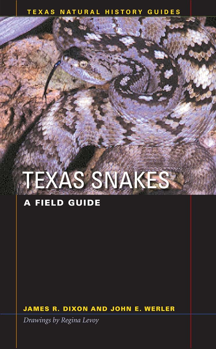 Texas Snakes: A Field Guide (Texas Natural History Guides)