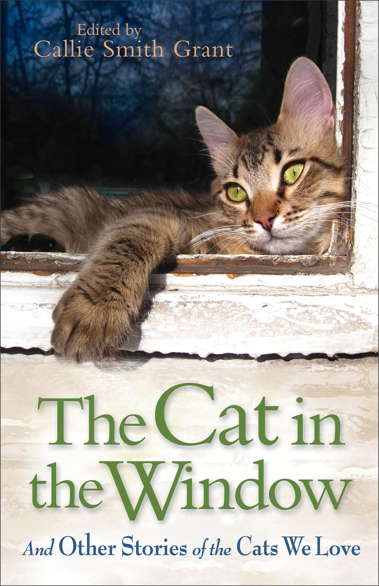 The Cat in the Window: And Other Stories Of The Cats We Love
