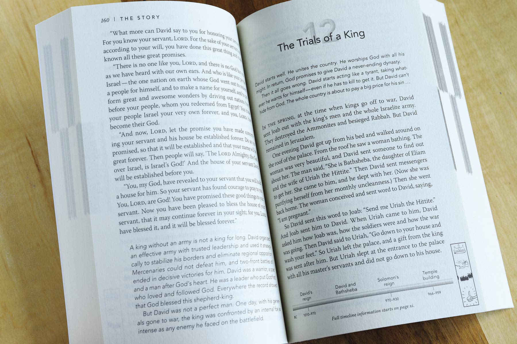 NIV The Story Student Edition, Paperback: The Bible as One Continuing Story of God and His People