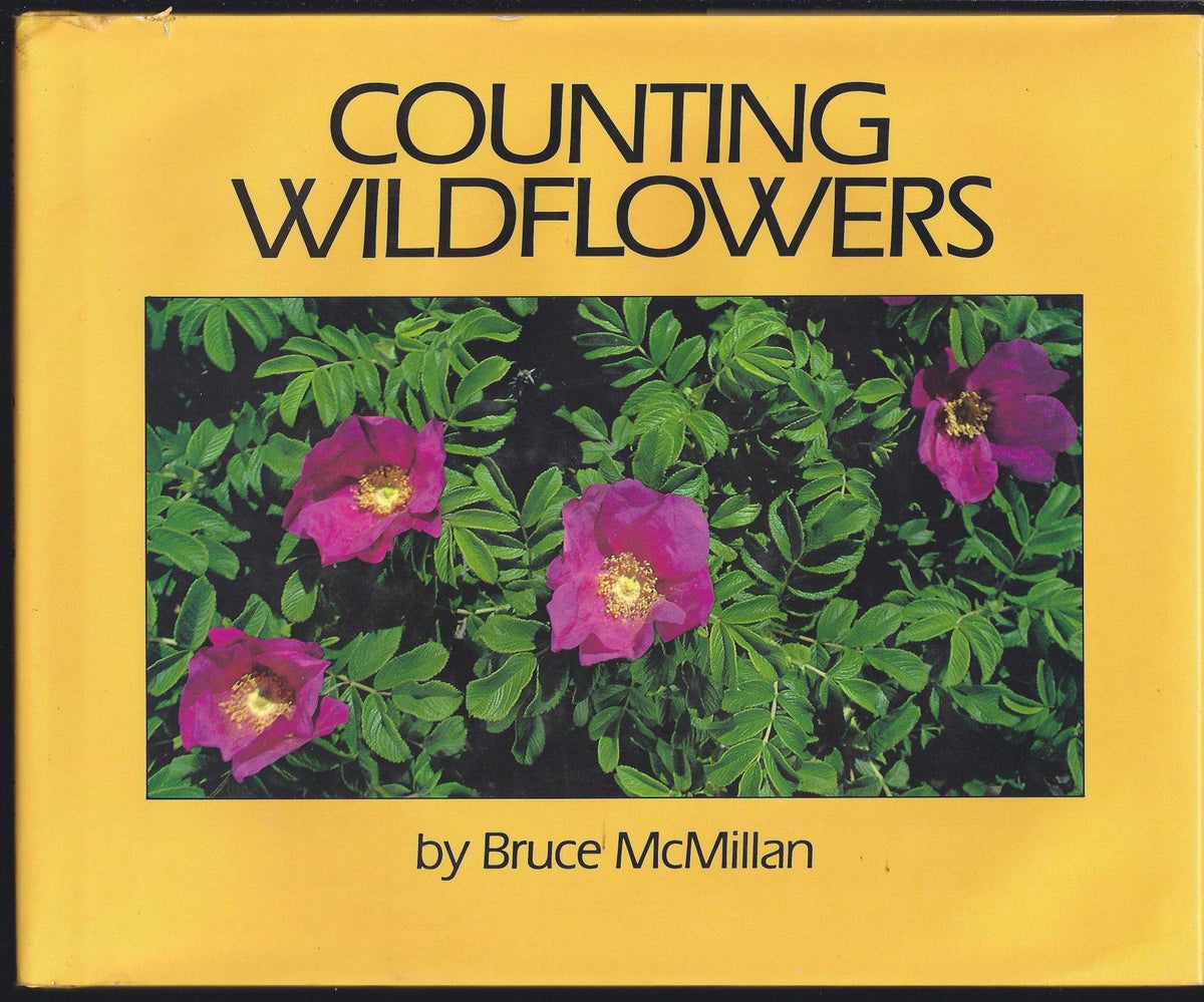 Counting Wildflowers