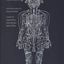 Classical Chinese Medicine