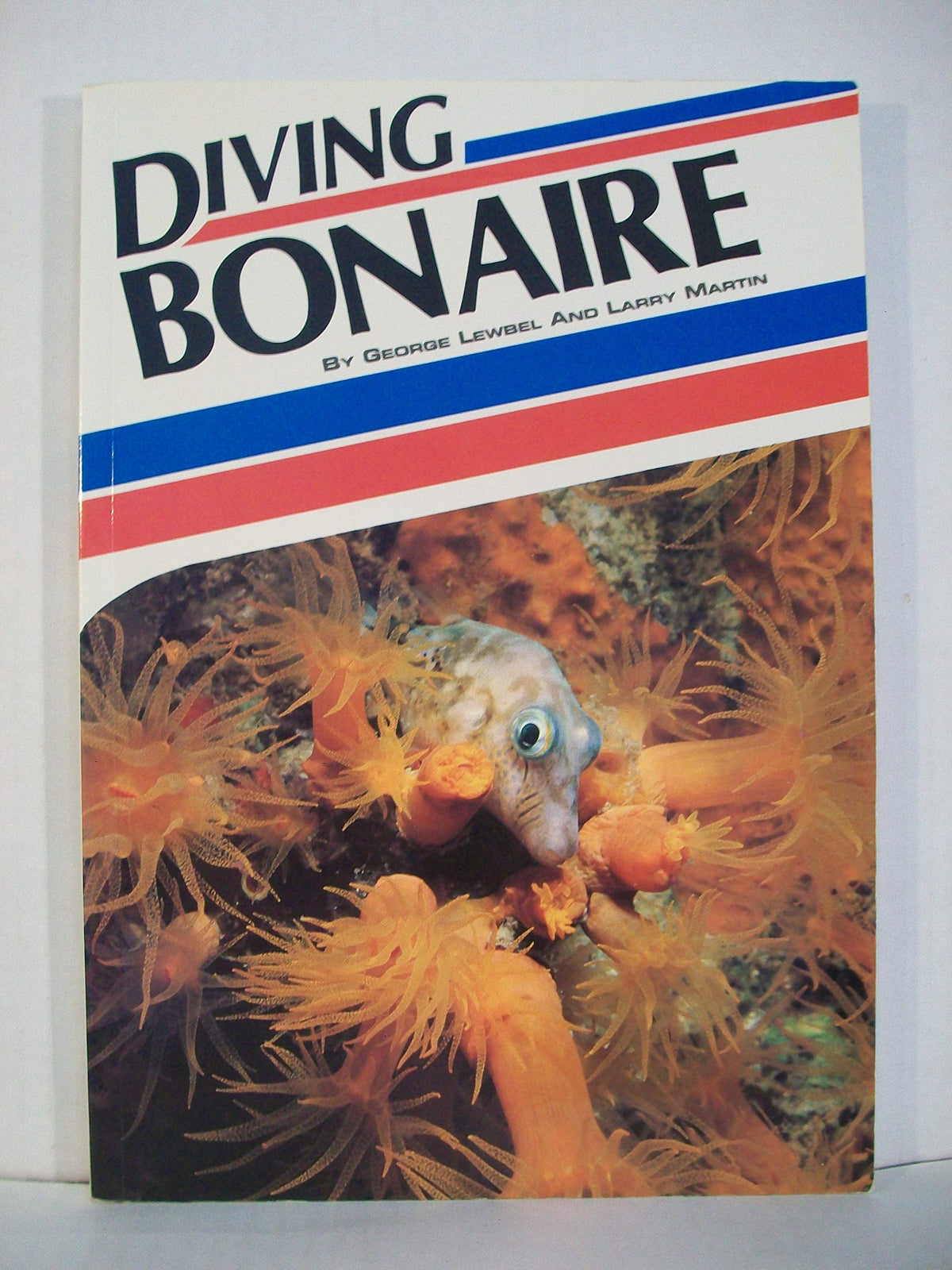 Diving Bonaire