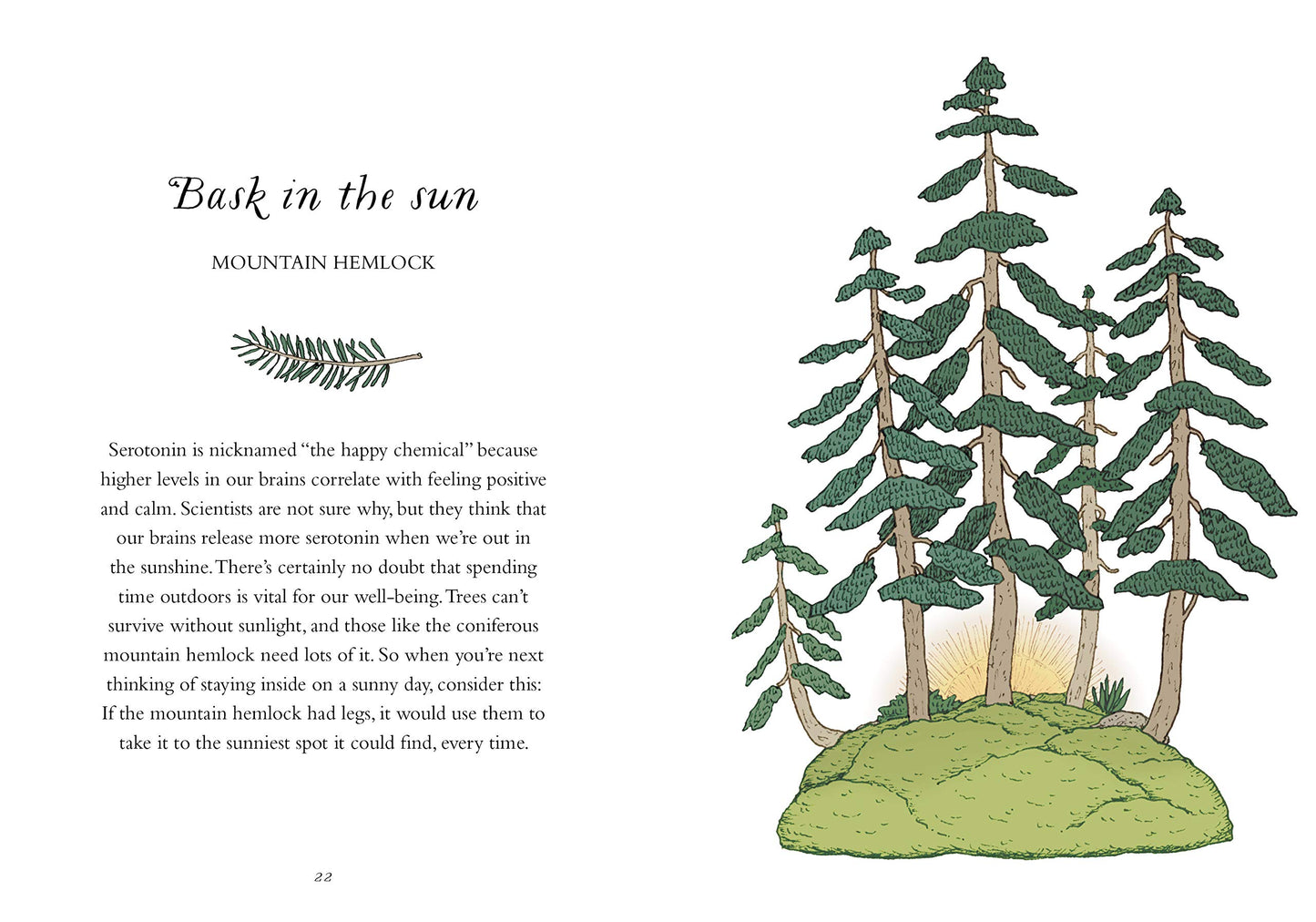How to Be More Tree: Essential Life Lessons for Perennial Ha