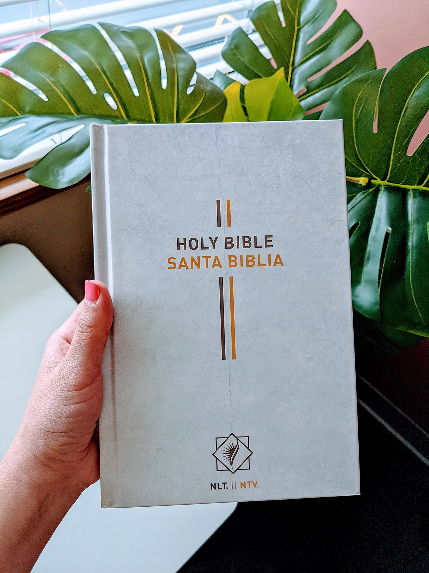 Bilingual Bible / Biblia biling?e NLT/NTV (Hardcover, Gray)