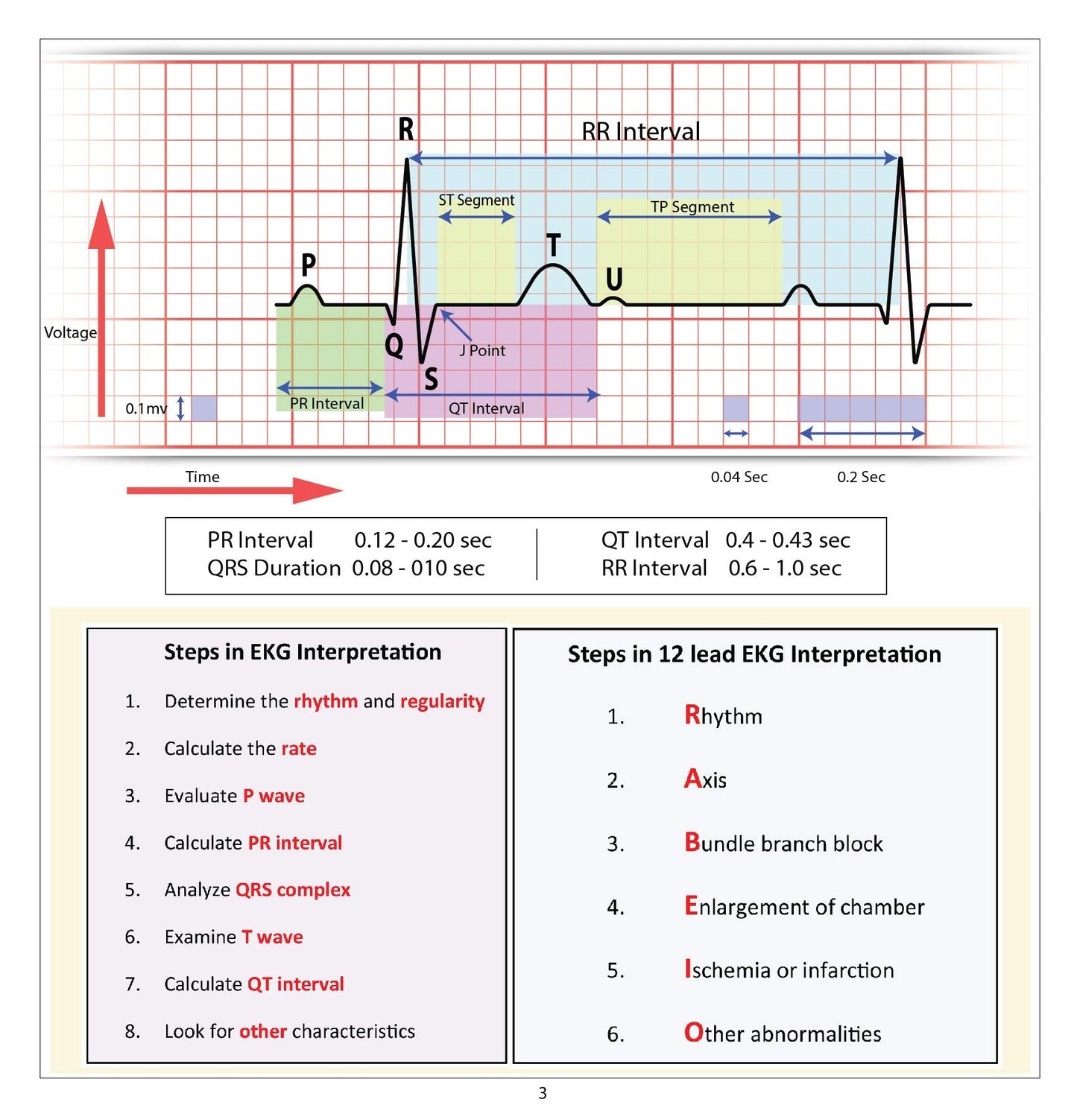 12 Lead EKG Pocket Card