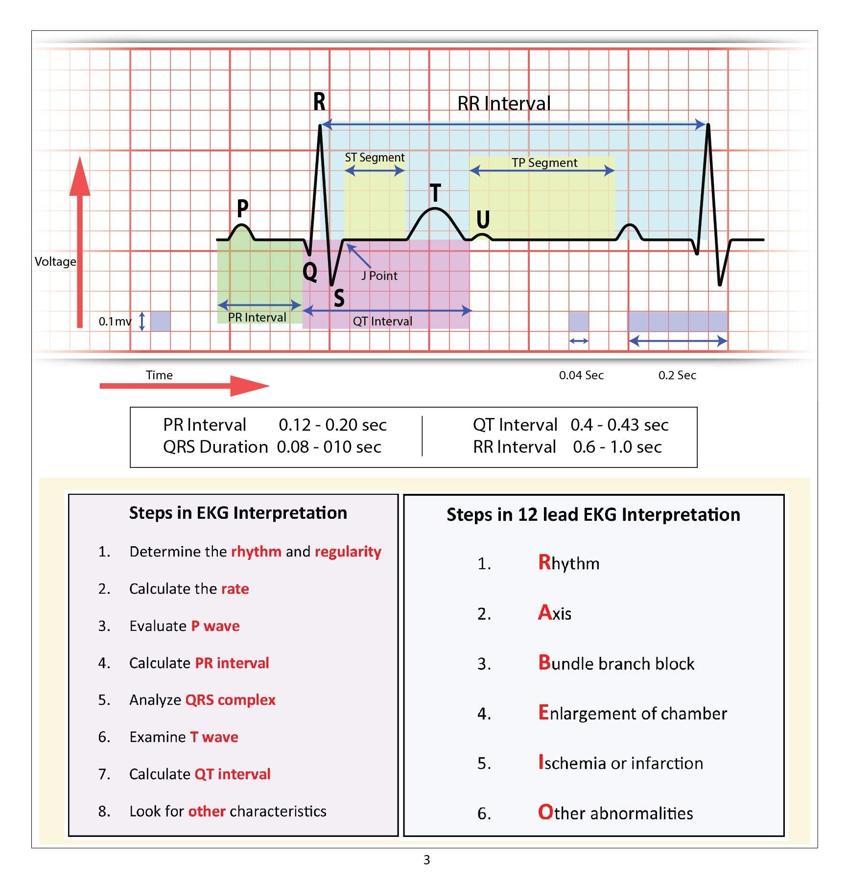 12 Lead EKG Pocket Card