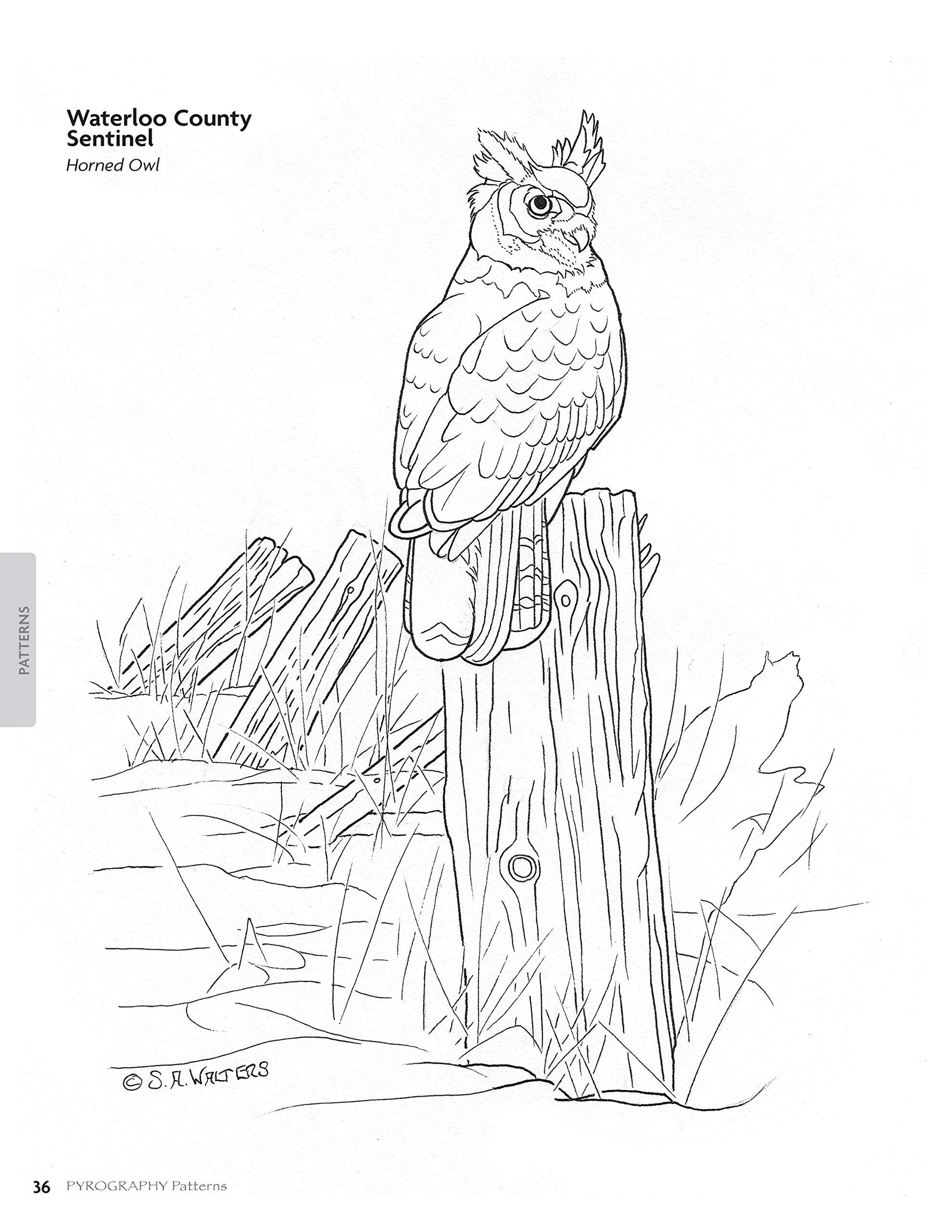 Pyrography Patterns: Basic Techniques and 30 Wildlife Designs for Woodburning (Fox Chapel Publishing) Large, Ready-to-Use Patterns, Both Line and Tonal, plus Tips & Advice from Artist Sue Walters