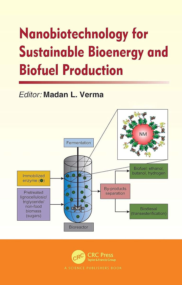 Nanobiotechnology for Sustainable Bioenergy and Biofuel Production