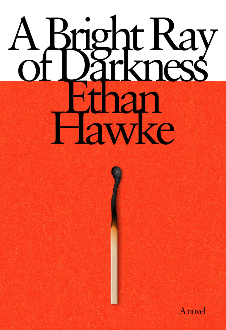 A Bright Ray of Darkness: A novel