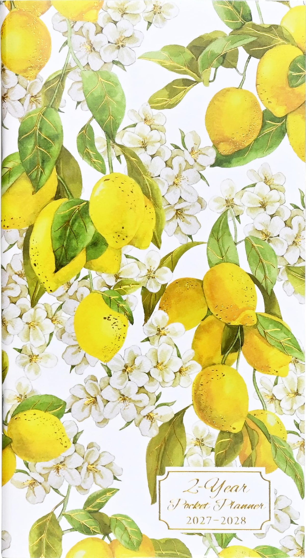 2027-28 Amalfi Lemons 2-Year Pocket Planner (24-Month Calendar)