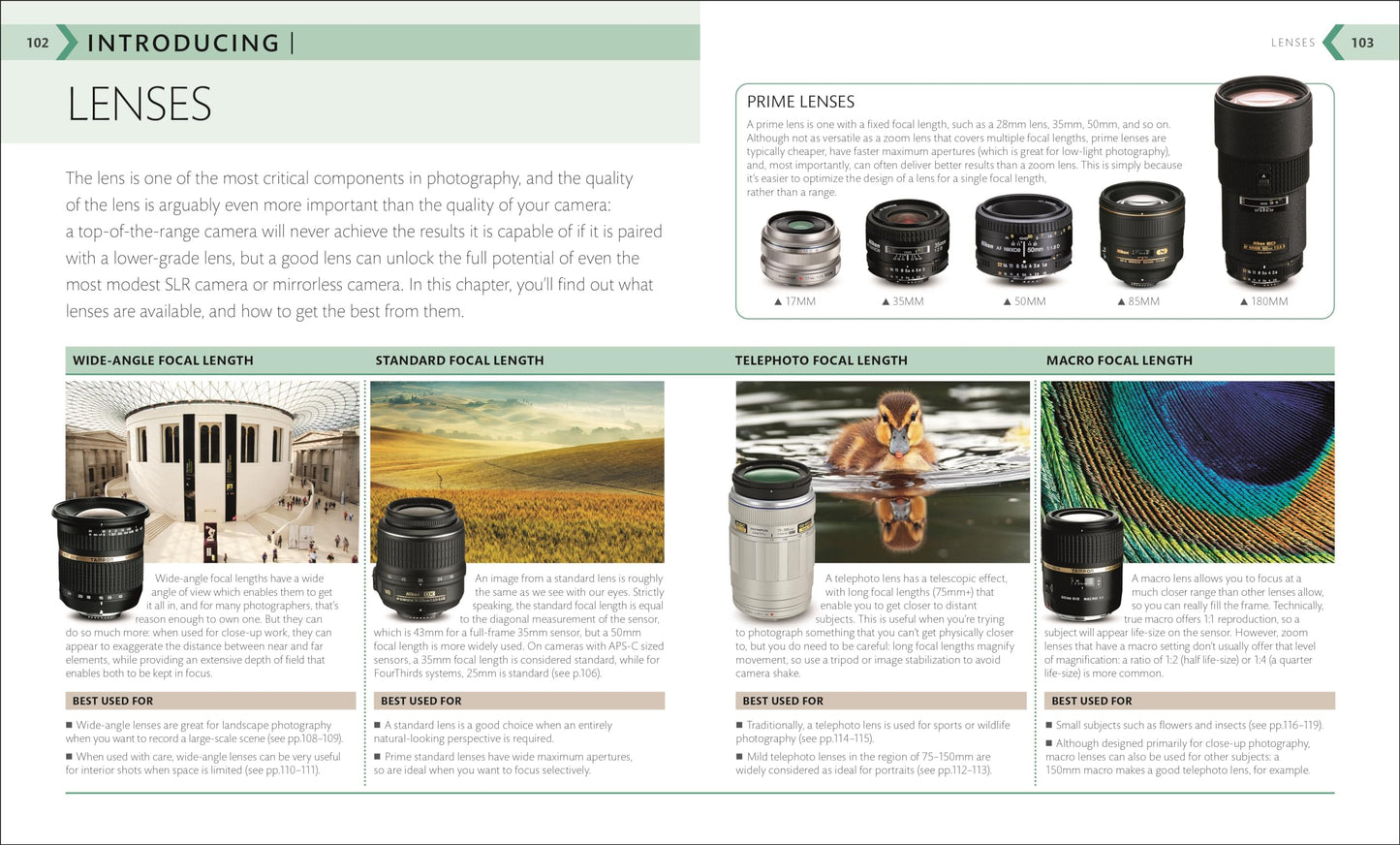 The Beginner's Photography Guide: The Ultimate Step-by-Step