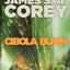 Cibola Burn (The Expanse, 4)