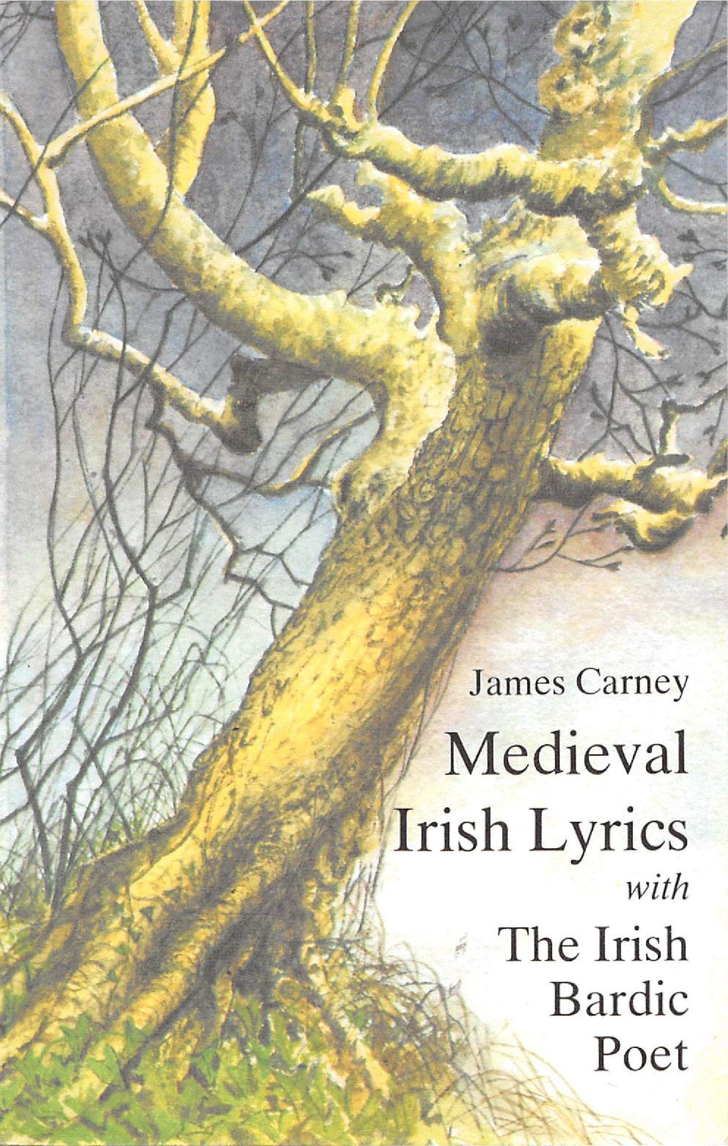 Medieval Irish Lyrics by Carney, James