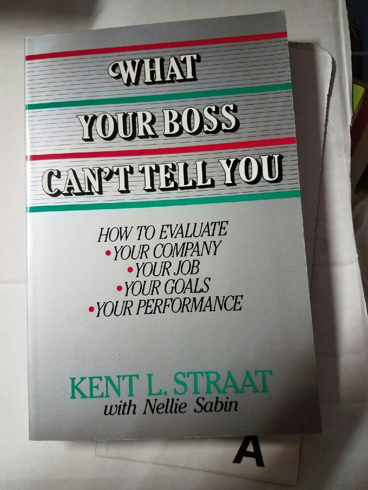 What Your Boss Can't Tell You: How to Evaluate, Your Company, Your Job, Your Goals, Your Performance