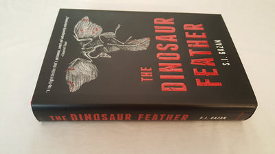 The Dinosaur Feather